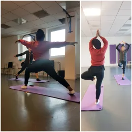 Le Yoga s'invite aux Platanes